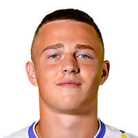 Владислав Герич