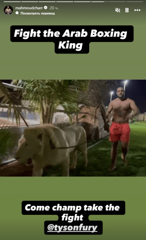 Махмуд Чарр / Фото - Instagram